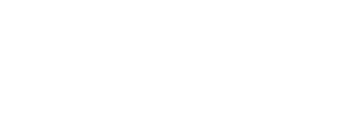 Bald Eagle Logo PNG White Transp 1024x256 cropped