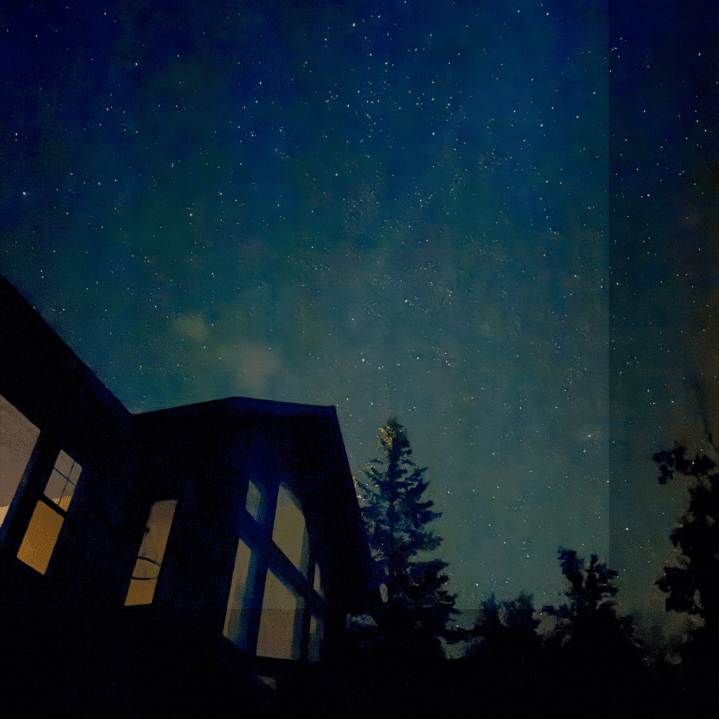 Night Sky
